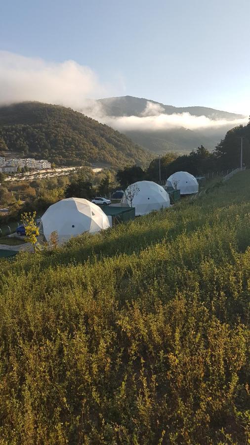 DENGEKORU Doğal Yaşam Tesisi Otel Mudurnu Dış mekan fotoğraf